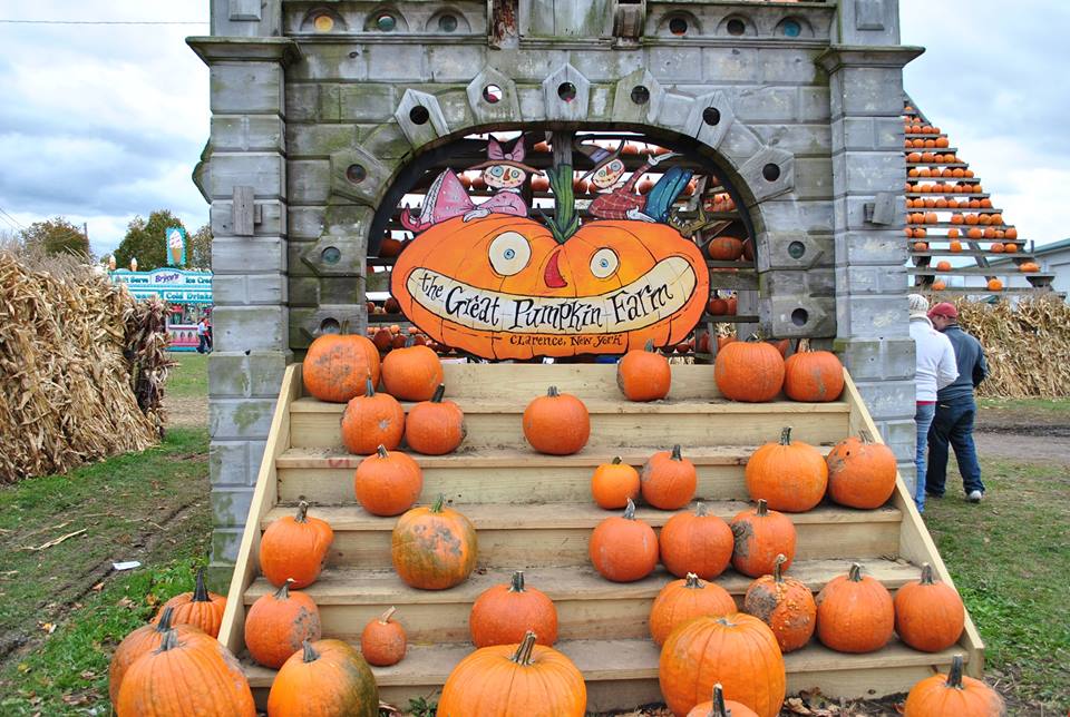 The Great Pumpkin Farm named one of the top ten pumpkin patches in America