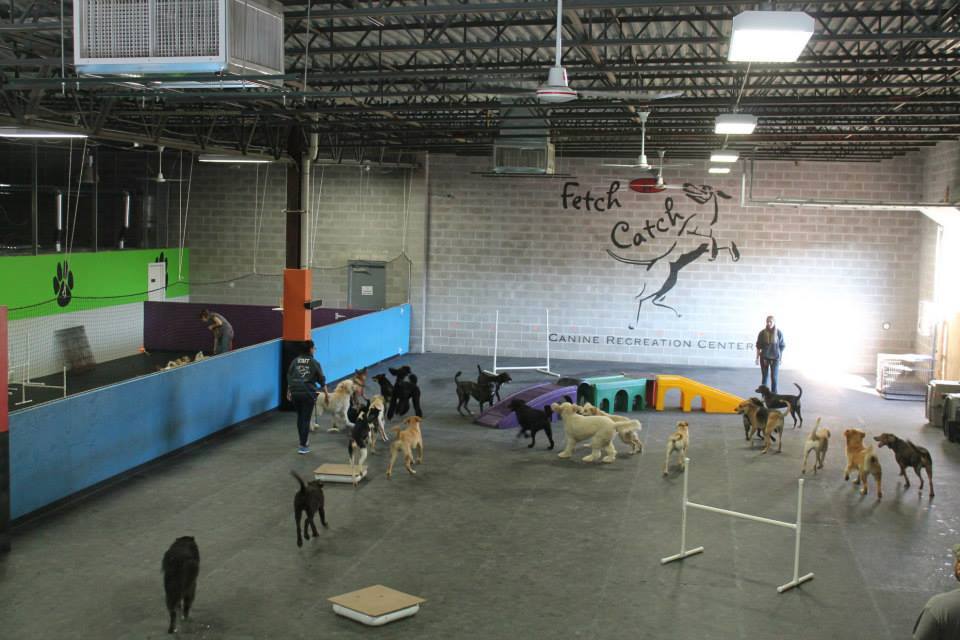 Fetch n’ Catch, WNY’s premier dog daycare center