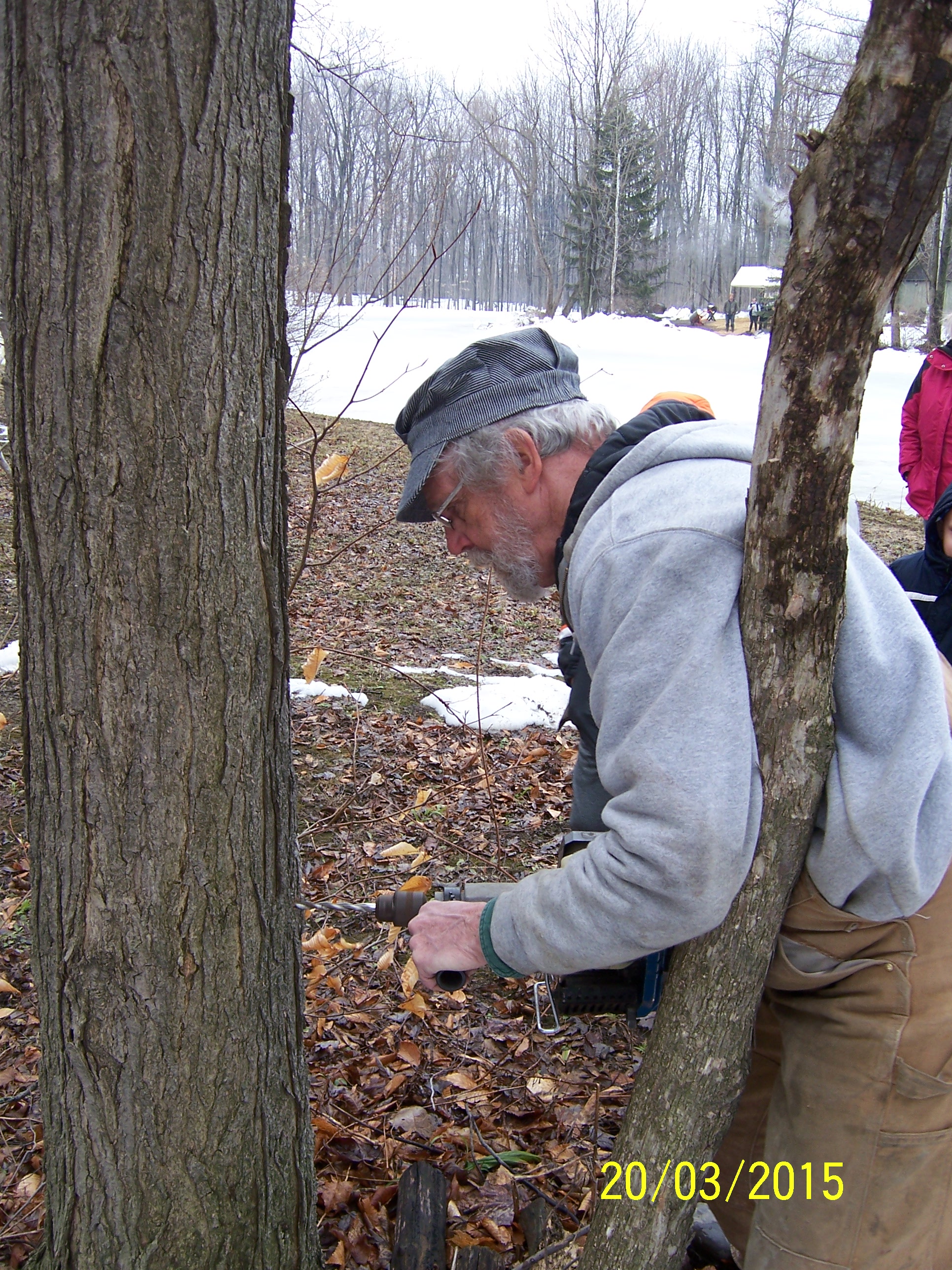 Maple Weekend 2016: The sweet tradition continues