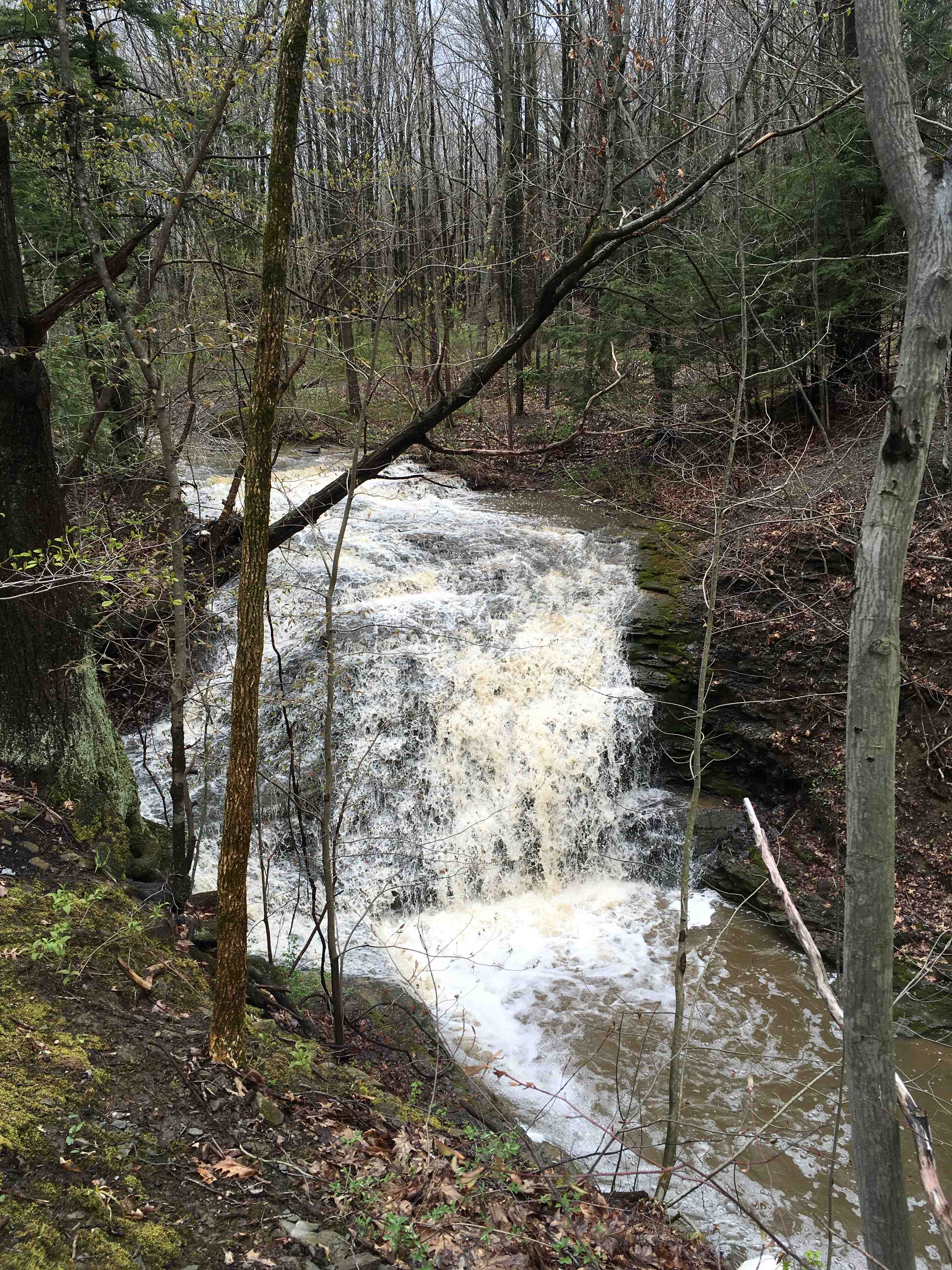 Challenge gift brings Jackson Falls Preserve one step closer to reality