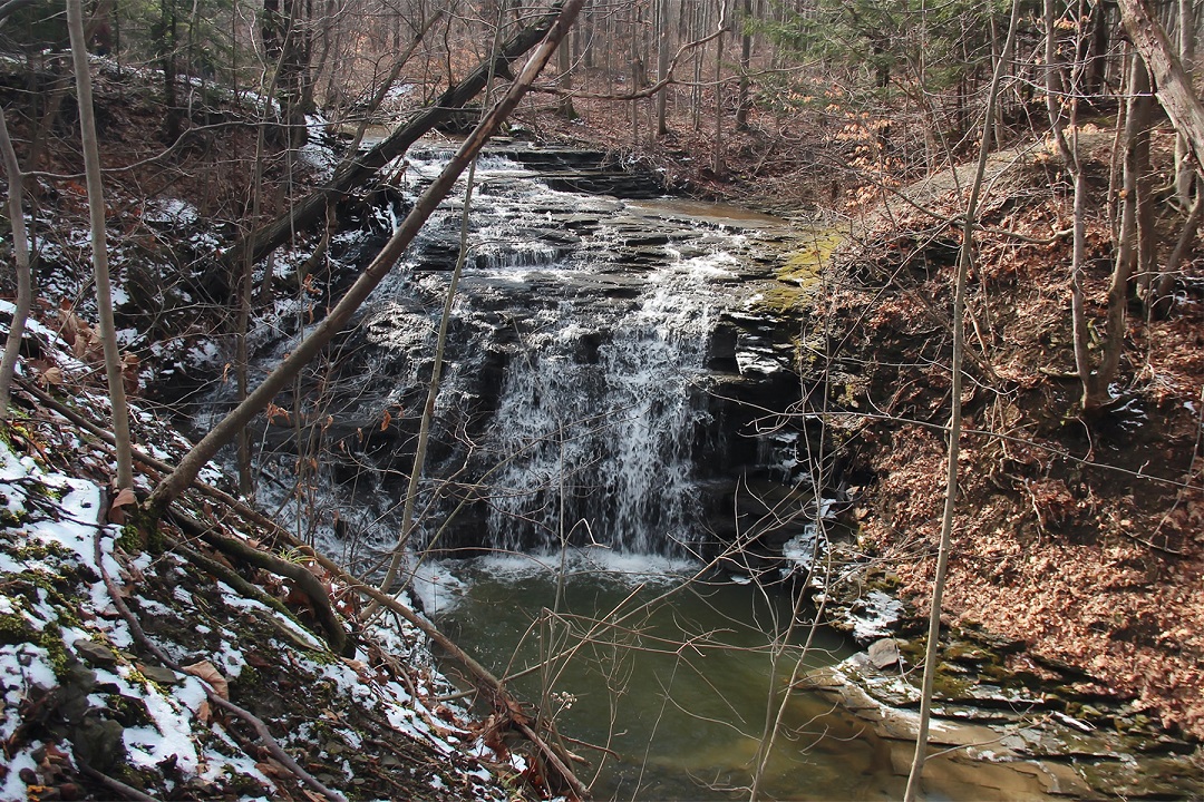 Jackson Falls becomes Owens Falls Sanctuary after fundraising goal is surpassed