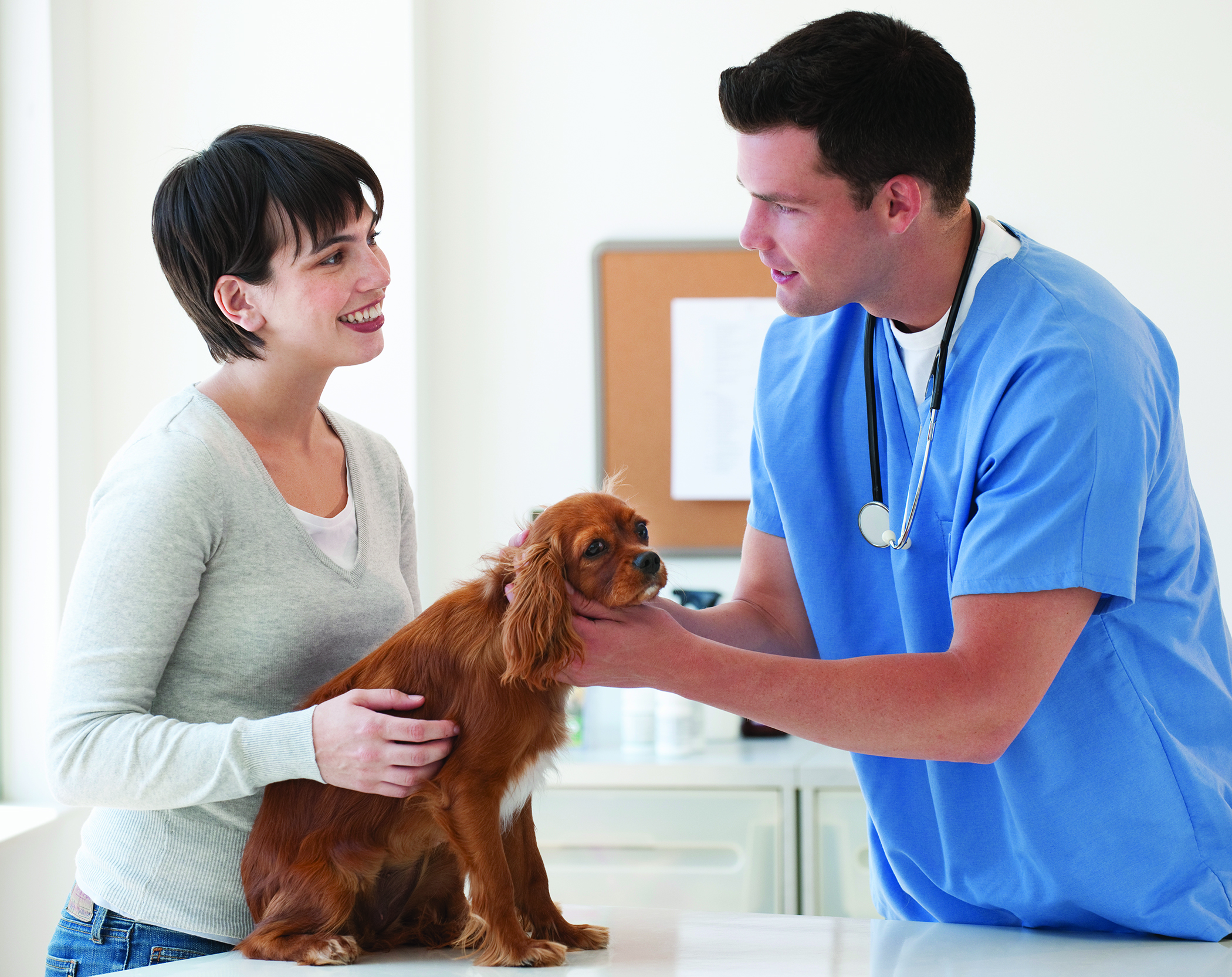 Manage your pet’s diabetes with home care