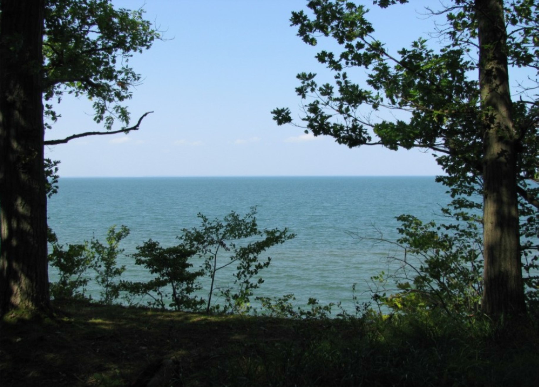 Land donation protects Lakeshore Forest; Land Conservancy seeks community’s help to cover costs