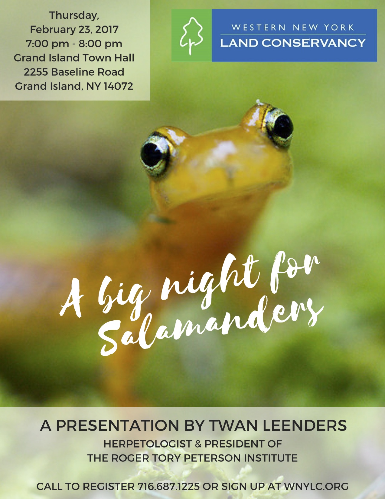 Land Conservancy to host talk about the salamanders’ big night