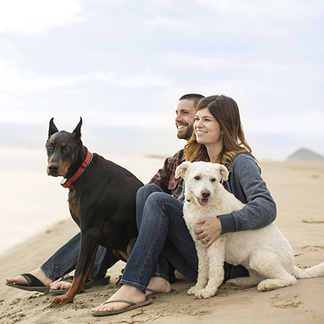 Ten steps to prep your pet for travel