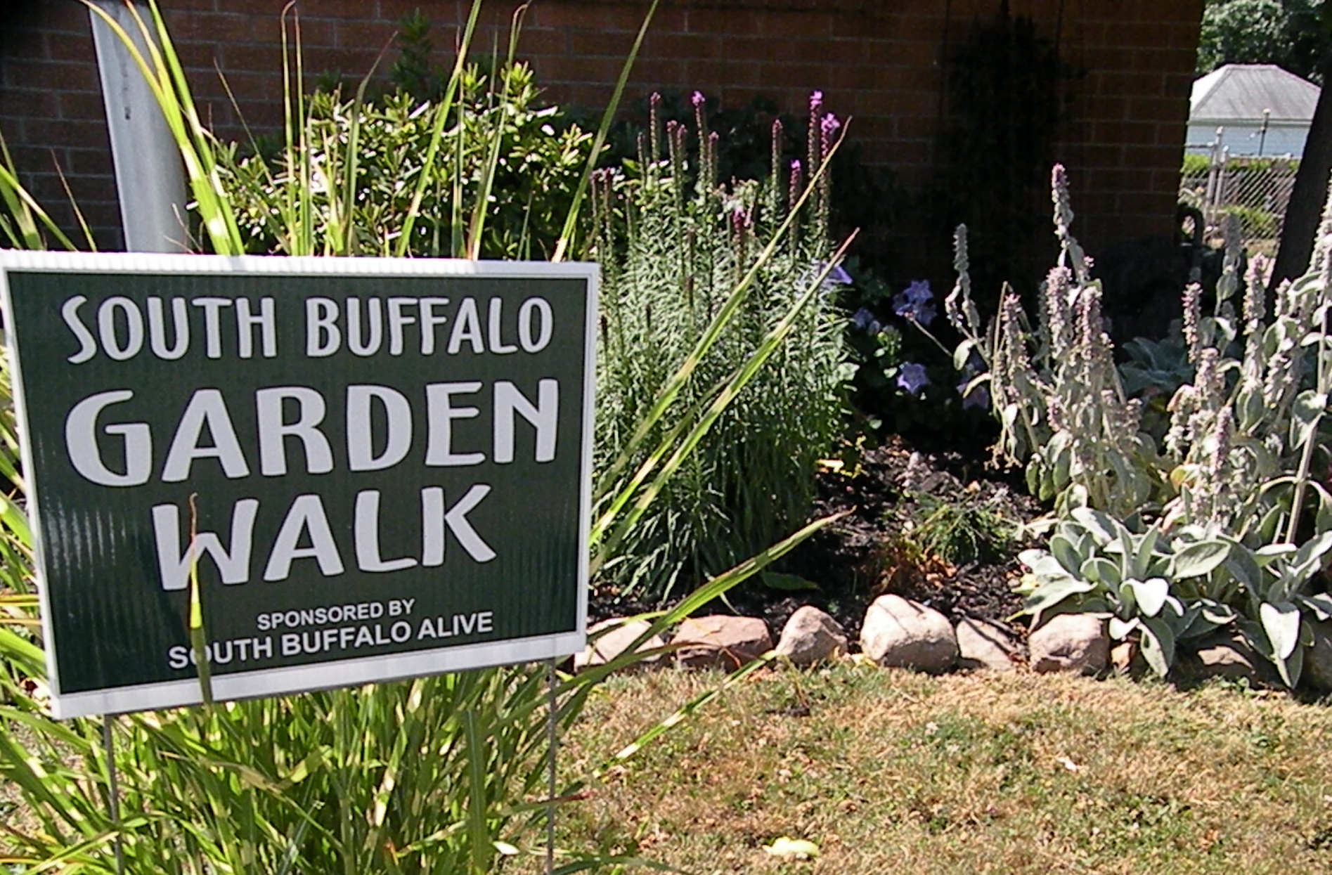 Annual South Buffalo Alive Garden Tour set for July 16