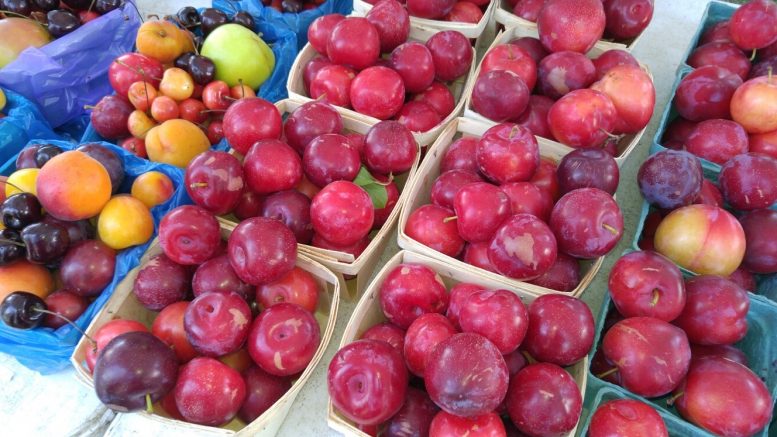 Elmwood Village Farmers Market lists August 5 highlights