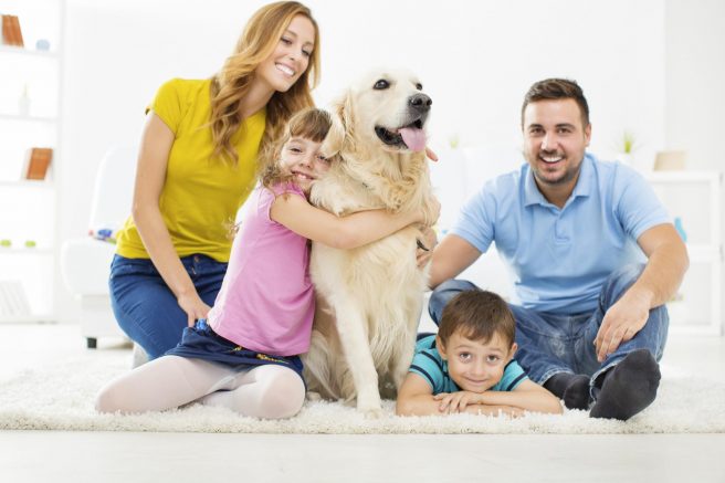 Five tips to solve separation anxiety in your pet