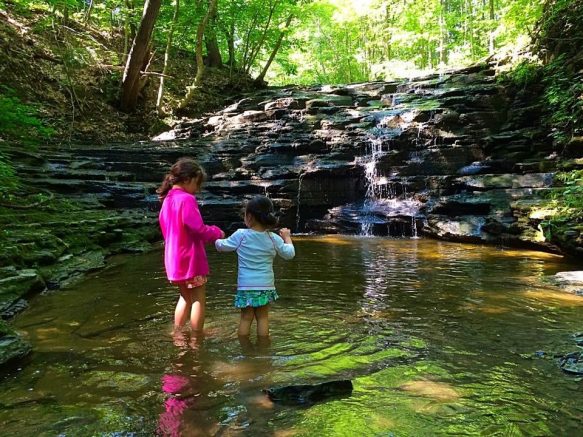 Land Conservancy schedules public presentation of trail plans for Owens Falls