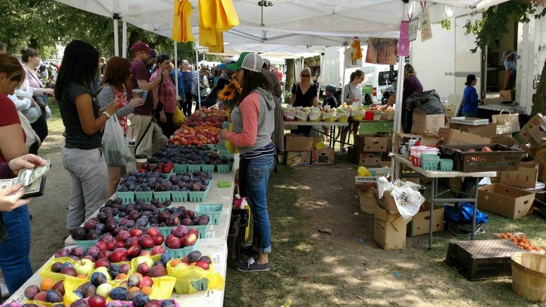 Elmwood Village Farmers Market lists September 23 highlights
