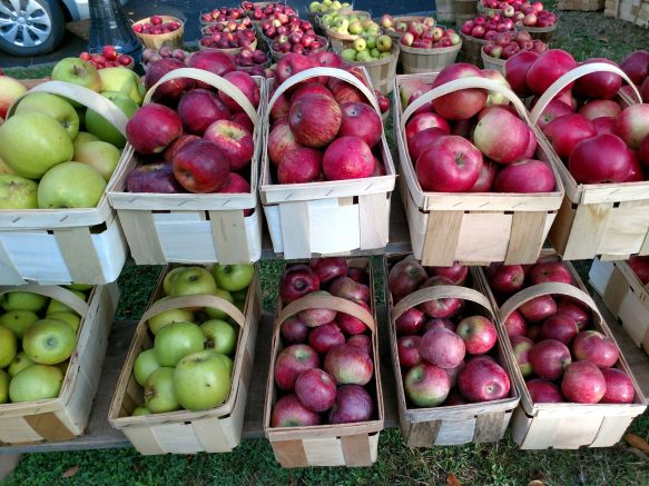 Elmwood Village Farmers Market lists October 21 highlights