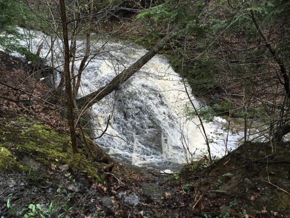 Land Conservancy seeks donations to create Owens Falls Trails System