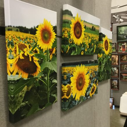 Premier Promotions bringing Springtime in the Country artisan market to Rochester