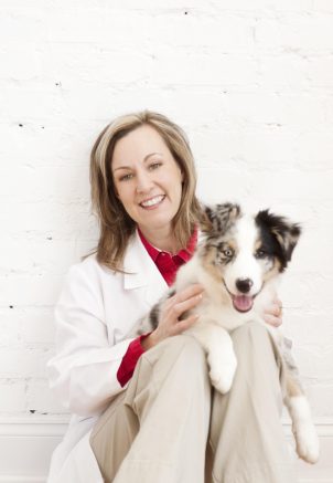 Dogs can catch the flu? What dog parents need to know