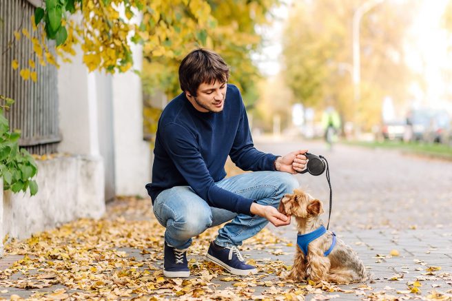 How a pet can improve your health