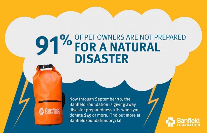 Ninety-one percent of pet owners not prepared for the next disaster