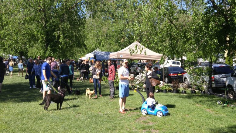 Elmwood Village Farmers Market set to open for 20th season on May 12