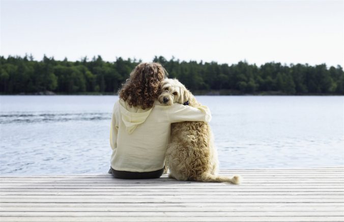Four tips for keeping your pet safe this summer