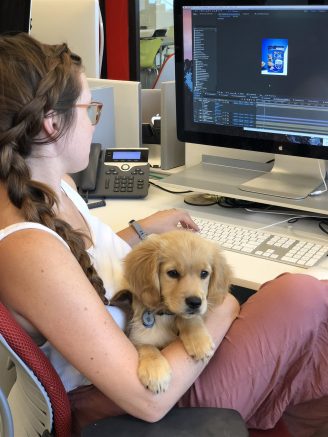 Got stress? Bringing your pet to work can help