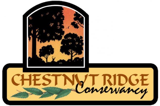 Chestnut Ridge Conservancy to host Movie Night