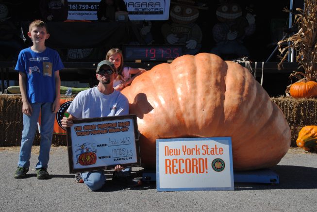 It’s the annual World Pumpkin Weigh-off at the Great Pumpkin Farm this weekend