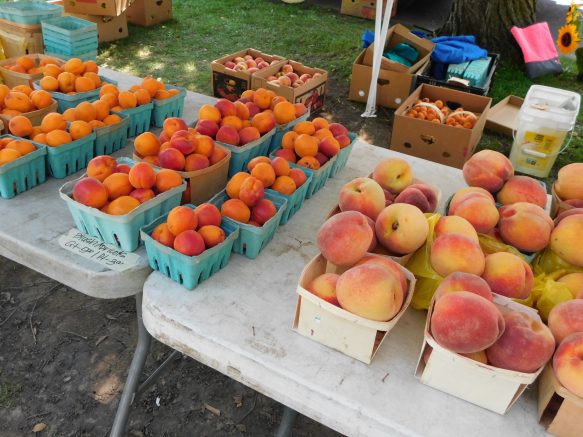 Elmwood Village Farmers Market lists September 8 highlights