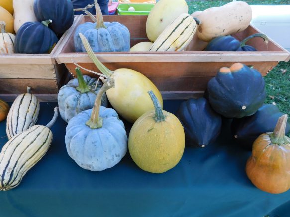 Elmwood Village Farmers Market lists October 6 highlights