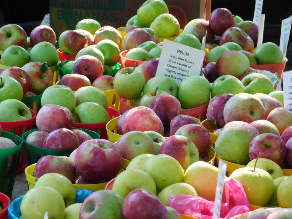 Elmwood Village Farmers Market lists October 13 highlights