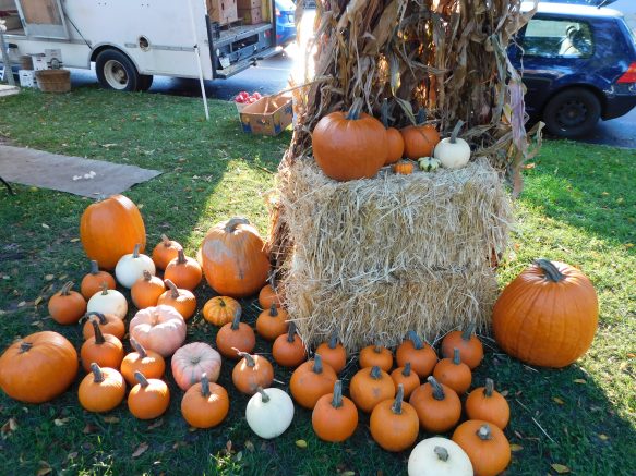 Elmwood Village Farmers Market lists October 27 highlights
