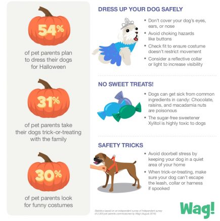 Celebrating Halloween safely with dogs
