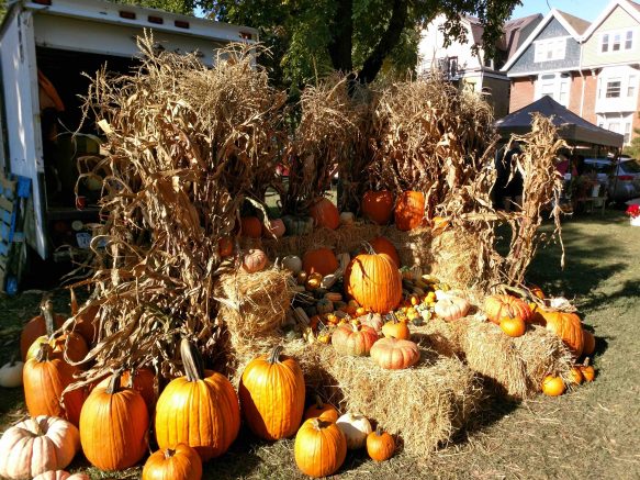 Elmwood Village Farmers Market lists October 20 highlights