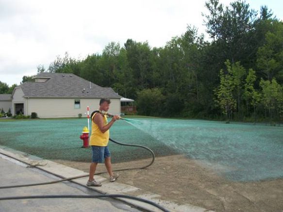 Bison Bluegrass is setting WNY’s hydroseeding industry on fire