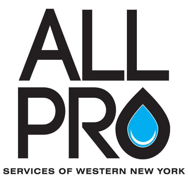 All Pro Services of WNY seeks applicants for full-time positions