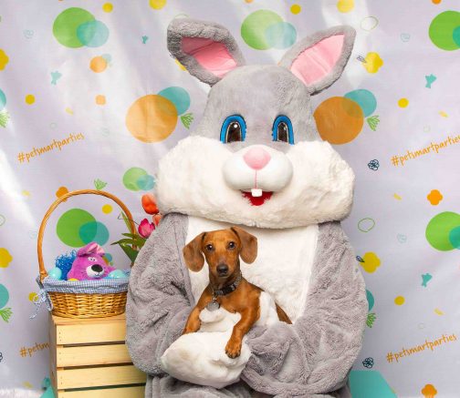 PetSmart offers free pet photos with the Easter Bunny