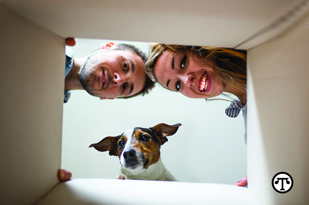 With proper preparation, your pets will be able to handle a household move with ease.