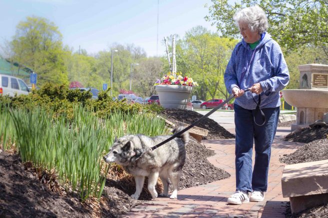 Furry friends help seniors feel less lonely