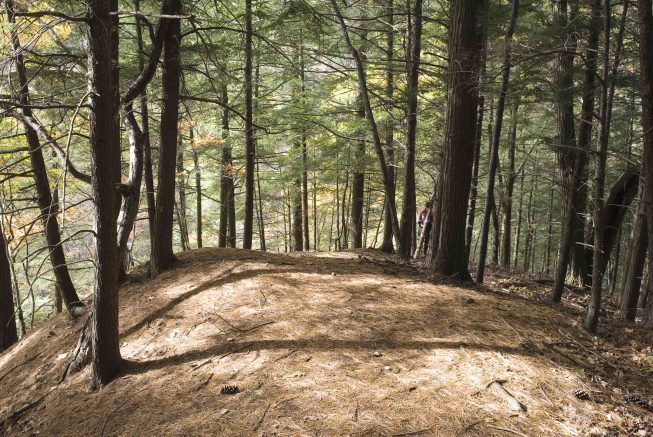 Western New York Land Conservancy to kick off final fundraising push to Save Mossy Point 