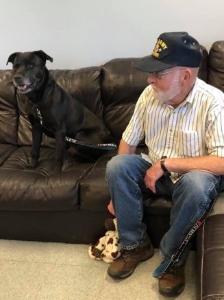 Niagara SPCA to waive adoption fee for veterans