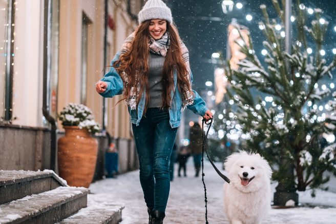 Four ways to share the holidays with your pet