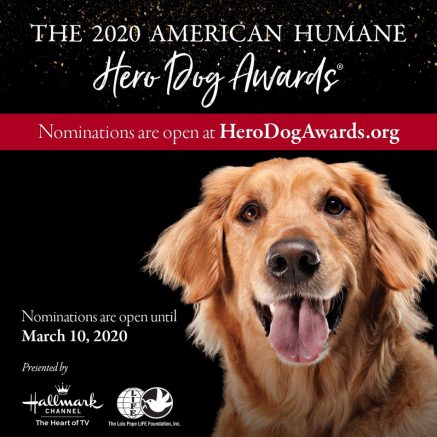 Calling all dogs! Nominations open for 2020 American Humane Hero Dog Awards