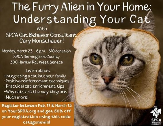 SPCA Serving Erie County to present Understanding Your Cat event