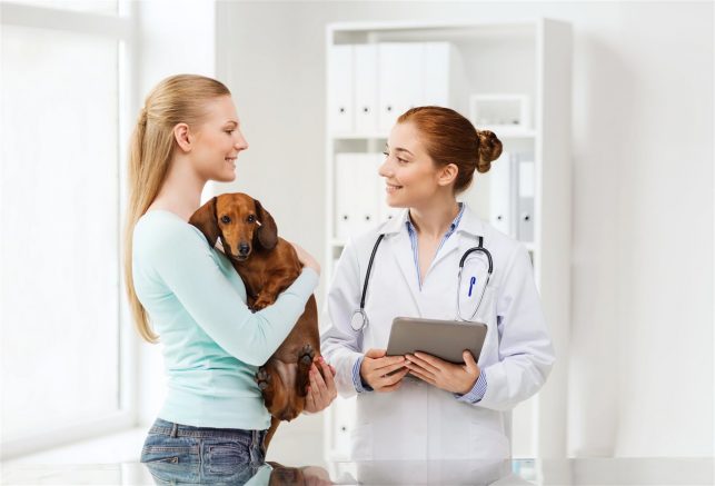 If you discover your pet needs a medication, you have options for managing the expense.