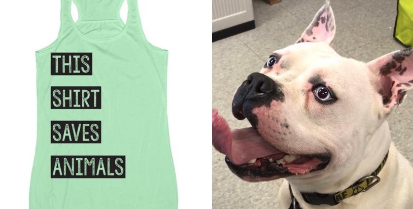 This Shirt Saves Animals to raise funds for Niagara County SPCA 