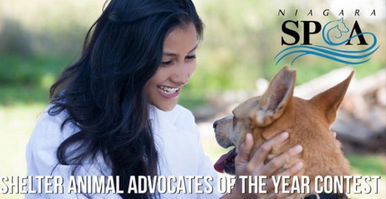 Shelter Animal Advocates of the Year Contest to benefit Niagara County SPCA