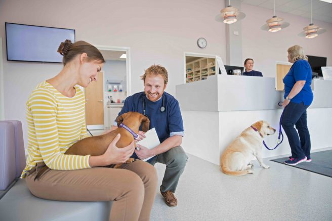 Most veterinary offices have implemented processes to minimize health risks to owners, veterinarians and their staff.