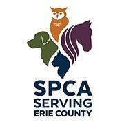 ‘Rescue a Shelter Animal’ campaign features SPCA Serving Erie County’s unending work