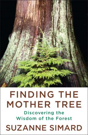 WNY Land Conservancy welcomes Dr. Suzanne Simard, pioneering scientist and author of Finding the Mother Tree