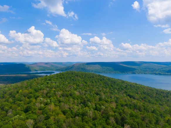 WNY Land Conservancy to host Ed Marx of the Wildlands Network at virtual event to save the Allegany Wildlands