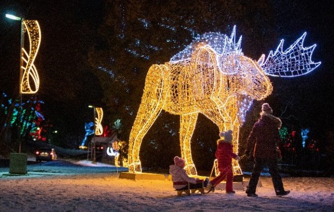 Niagara Falls Winter Festival of Lights to celebrates 40 years of winter fun
