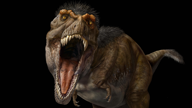 While exploring the exhibition, visitors will confront a life-sized animation of T. rex.